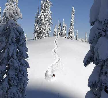 Utah Powder